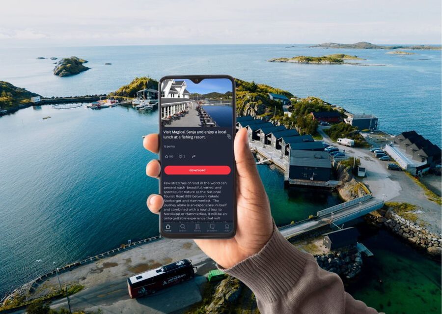 From Tromsø: Self-Guided Fjord Tour to Senja and Local Lunch - Should you book this Senja day trip?