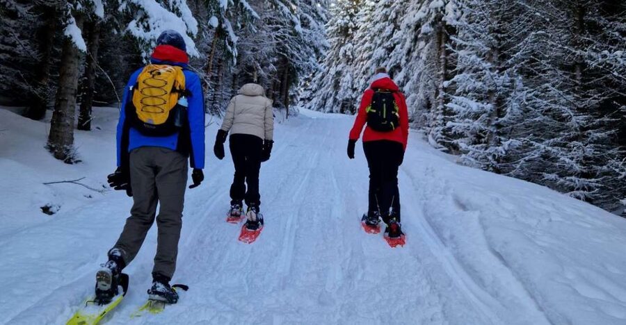 From Tromsø: Snowshoe Hike in the Arctic - What the three-hour hike is really like