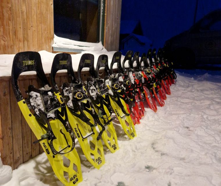 From Tromsø: Snowshoe Hike in the Arctic - Practical details that can improve the day