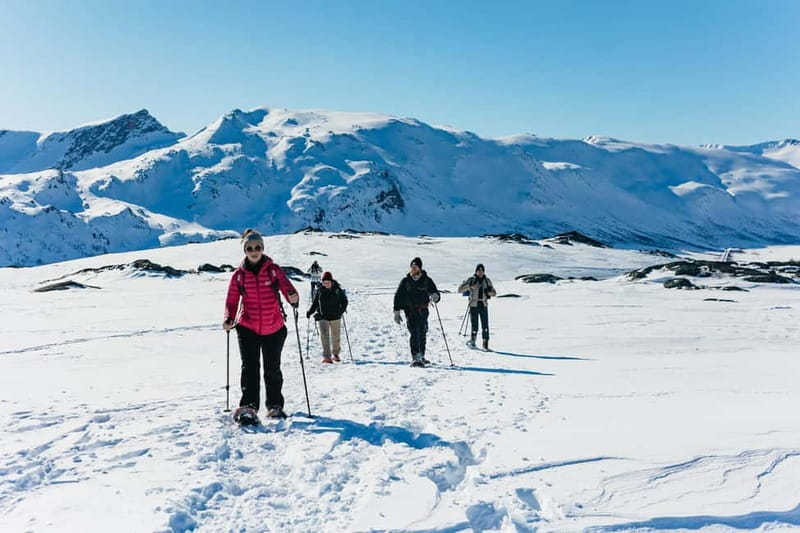 From Tromsø: Snowshoeing Hike with Picnic Lunch and Photos - From Scandic Ishavshotel to Kvaløya