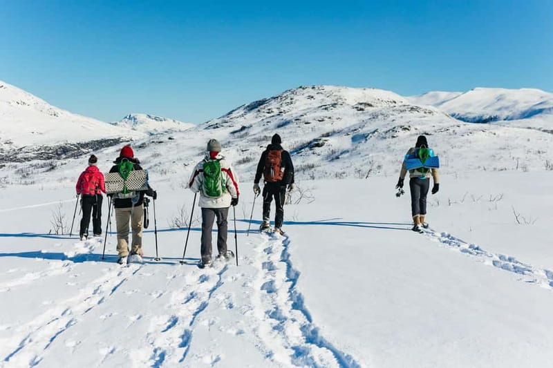 From Tromsø: Snowshoeing Hike with Picnic Lunch and Photos - Wildlife on the trail