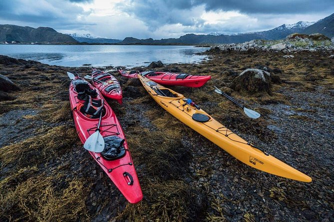 Full Day Combo Kayak and Rappel - Northern Explorer - Who should book this experience