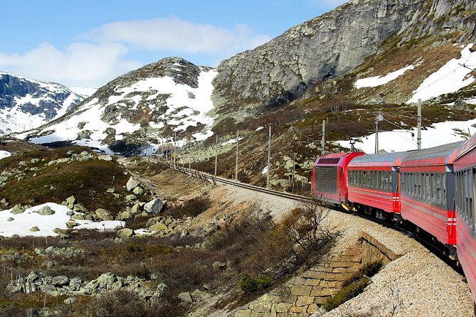 Full Day Guided Roundtrip From Bergen To Sognefjord With Flam Railway - The Flåm Railway adds a different kind of scenery