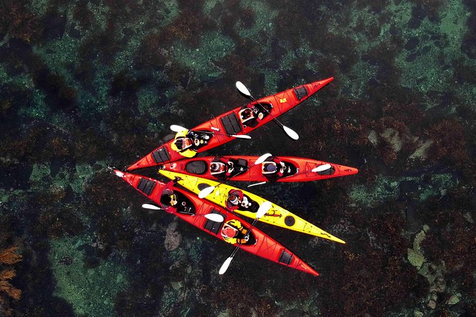 Full Day Kayak-Northern Explorer - Key points to know before you book