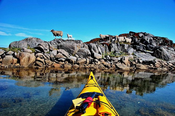 Full Day Kayak-Northern Explorer - Six hours on the water: a realistic view