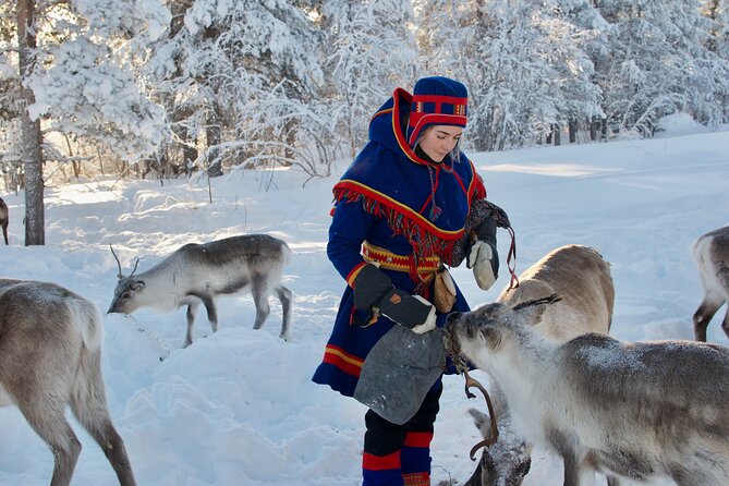 Full-Day Reindeer Tour with Pickup in Kiruna - Leaving Kiruna for the reindeer camp