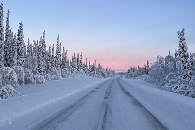 Full-Day Reindeer Tour with Pickup in Kiruna - The 1-kilometer reindeer-sled ride