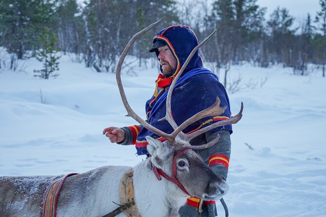 Full-Day Reindeer Tour with Pickup in Kiruna - Does the $309 price offer good value?