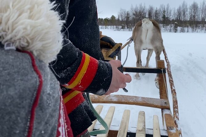 Full-Day Reindeer Tour with Pickup in Kiruna - Who should book this Kiruna day trip?