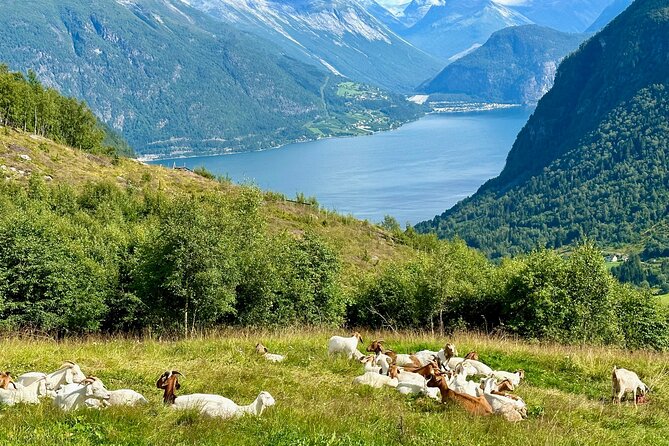 Geiranger by Royal route, 5 hours with visiting a high-mountain farm - The Geiranger River walk and final stop