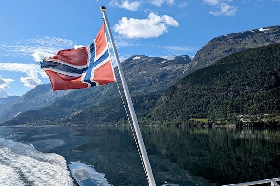 Geiranger Fjord Boat Tour with Waterfall Tasting - Who should choose this Geiranger cruise?