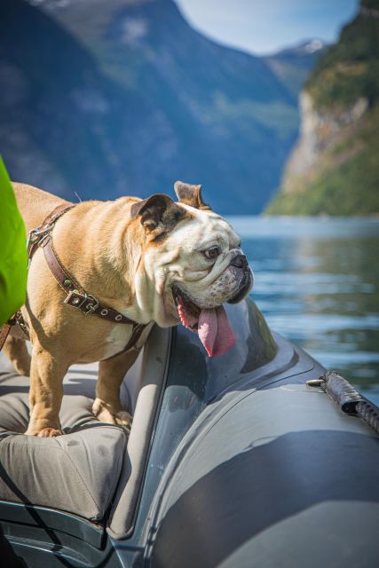 Geiranger: Guided Geirangerfjord Boat Tour - Friaren, Brudesløret, and the stories behind the water