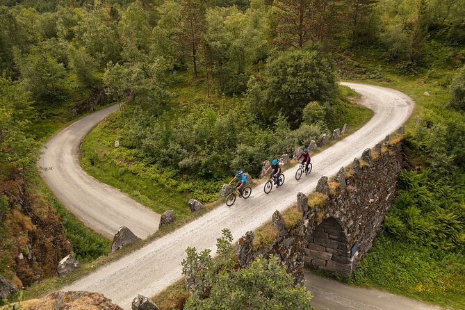 Geiranger: Sky to Fjord Downhill Biking Adventure - From Geirangervegen to Djupvatn Lake