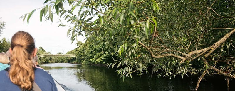 Gothenburg: Paddan Sightseeing Cruise on the River Säveån - The green river stretch called Gothenburg’s Amazonas