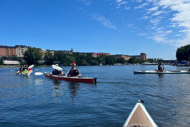 Guided Kayak Tour in Central Stockholm - The value of the $78.14 price