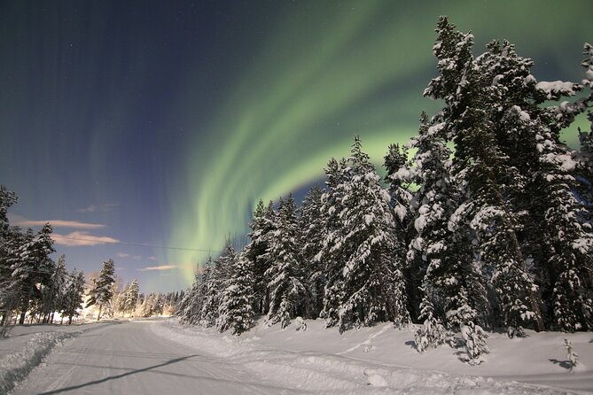 Guided Northern Lights Tour at Kiruna - Leaving Kiruna at 8 pm