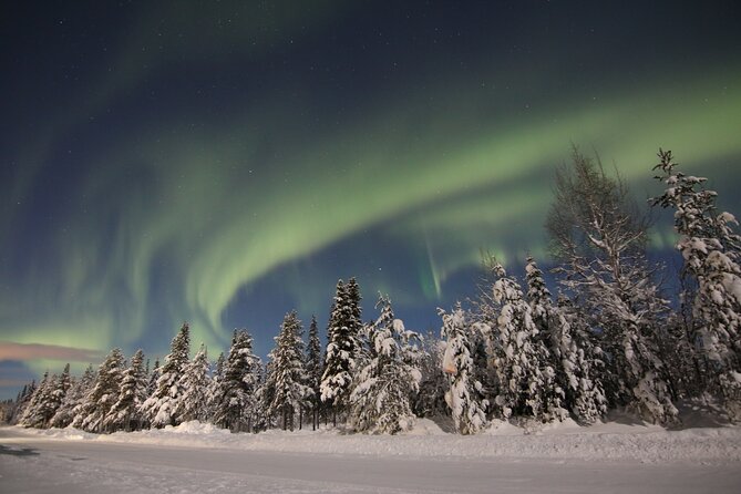 Guided Northern Lights Tour at Kiruna - Photography and the wait for green light