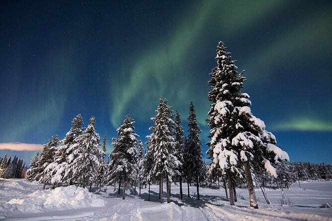 Guided Northern Lights Tour at Kiruna - Forest cabins, frozen rivers, and dark roadside stops