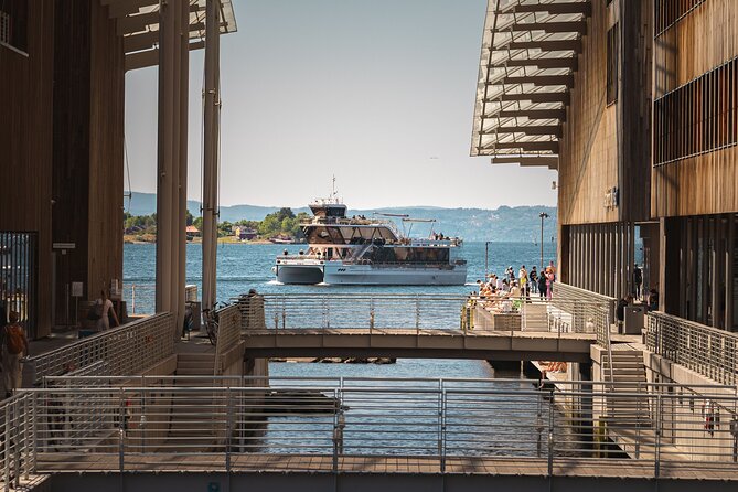Guided Sightseeing Cruise on Oslofjord by Premium Silent Boat - Islands, wildlife, and the quieter side of Oslofjord