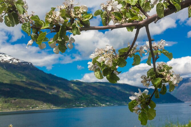 Guided tour to Hardanger Fjord, Waterfalls and Ferry Crossing - Walking Behind Steinsdalsfossen