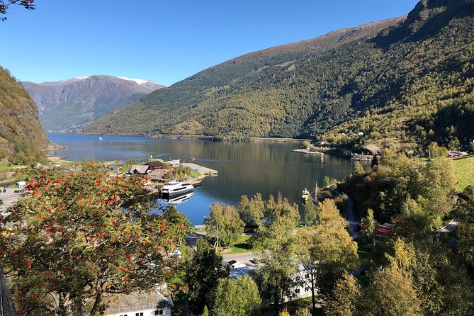 Guided Tour To Nærøyfjorden, Flåm And Stegastein - Viewpoint Cruise - Is $318.49 a fair price?