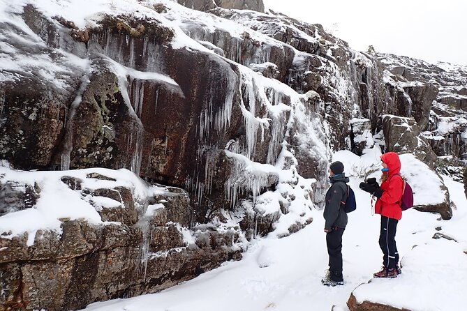 Guided winter hike to Pulpit Rock Preikestolen - Starting the hike at the trailhead