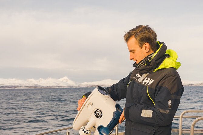 Half Day Arctic Fjord Cruise from Tromso - Key points to know before sailing
