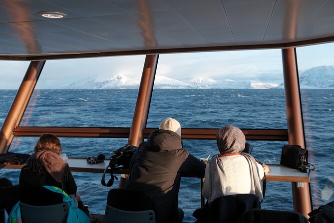 Half Day Arctic Fjord Cruise from Tromso - Commentary that gives the scenery meaning
