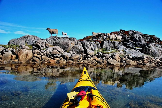Half Day Kayak - Northern Explores AS - Is the $102.50 price fair?