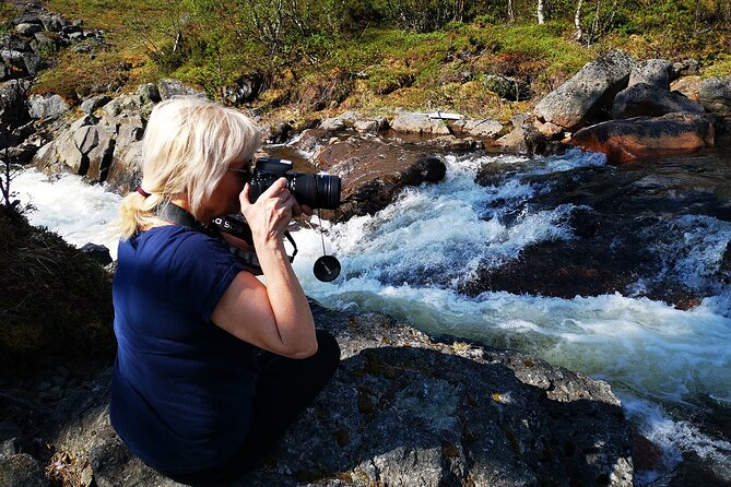 Half day Wildlife and Nature Photography - Four hours in Kiruna with a camera in hand