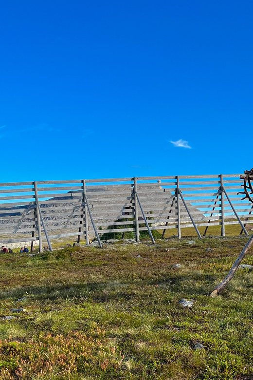 Hammerfest: Guided Tour - Meet Reindeer - Key points to know before you go