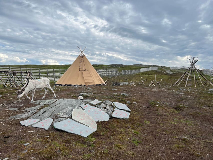 Hammerfest: Guided Tour - Meet Reindeer - FAQ