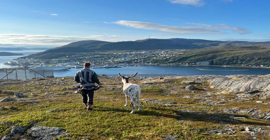 Hammerfest: Guided Tour - Meet Reindeer - Clothing, terrain, and weather