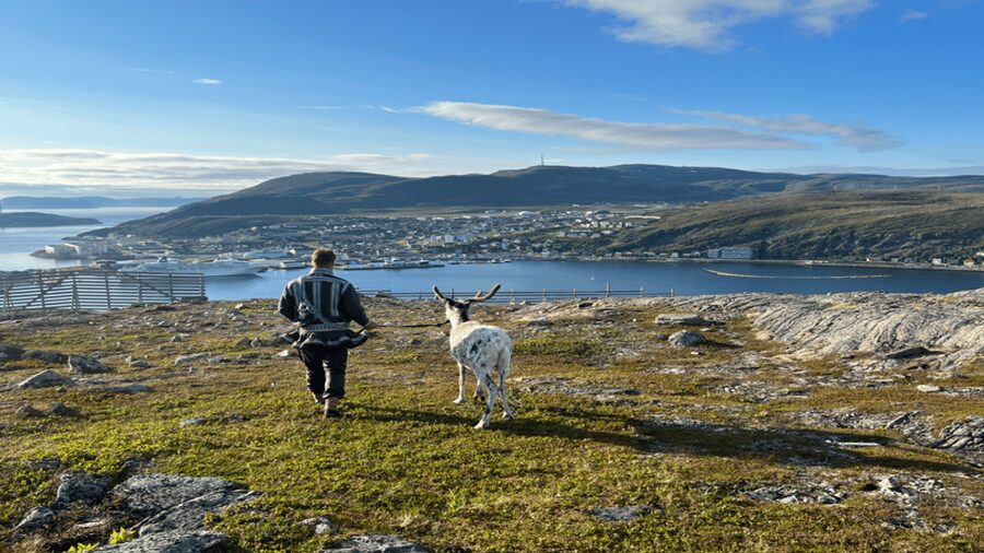 Hammerfest: Guided Tour - Meet Reindeer - Who will enjoy this most?