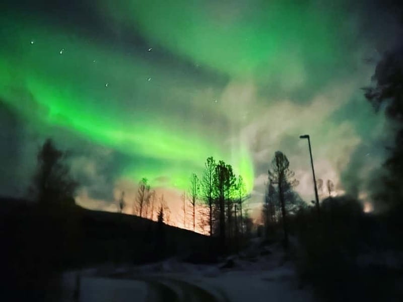 Harstad/Narvik/Tjeldsund: Northern Lights Sightseeing by Car - Key points to know before booking