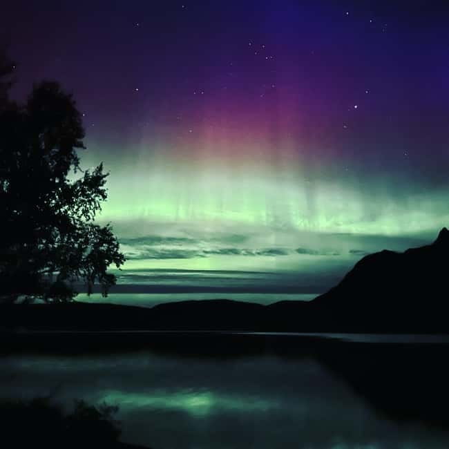 Harstad/Narvik/Tjeldsund: Northern Lights Sightseeing by Car - Mountain views, fishing, or a barbecue before dark