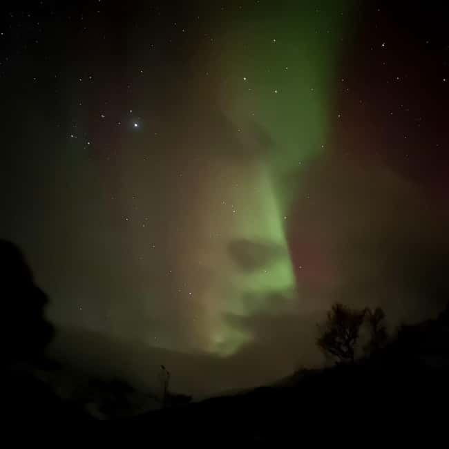 Harstad/Narvik/Tjeldsund: Northern Lights Sightseeing by Car - Finding a clear sky across the fjords