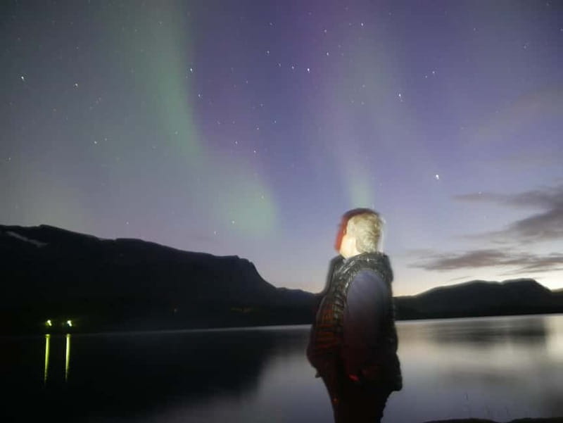Harstad/Narvik/Tjeldsund: Northern Lights Sightseeing by Car - Is $215 a fair price?