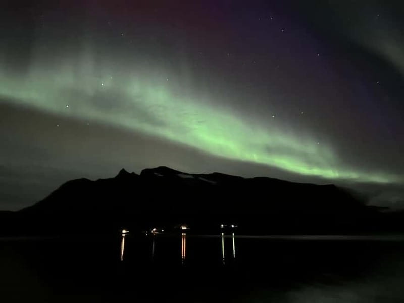 Harstad/Narvik/Tjeldsund: Northern Lights Sightseeing by Car - Who will enjoy this tour most?