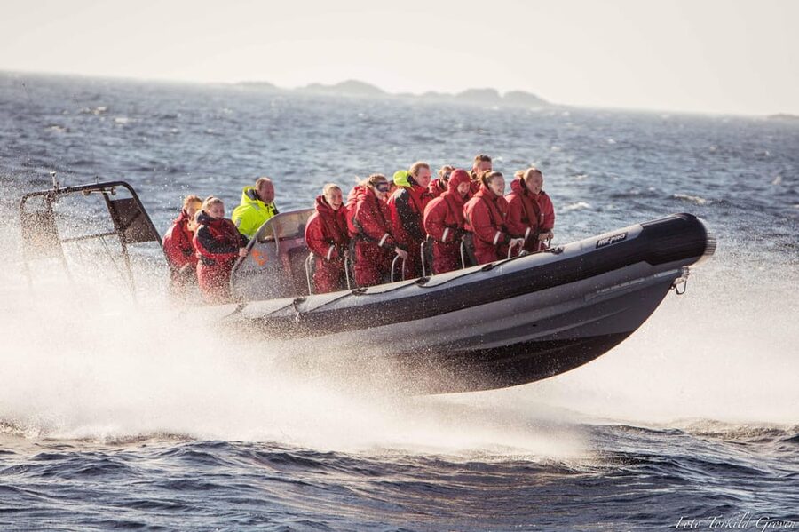 Haugesund: RIB Safari to the island communities - What the guides add to the experience