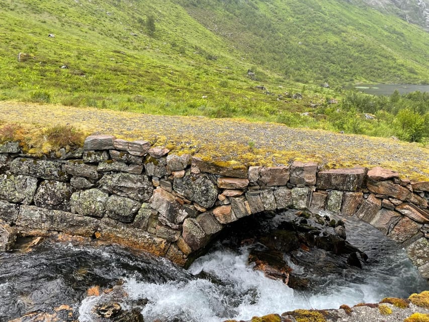 Hellesylt to Norangsdalen: Scenic E-Bike Tour - Why the electric motor changes the ride