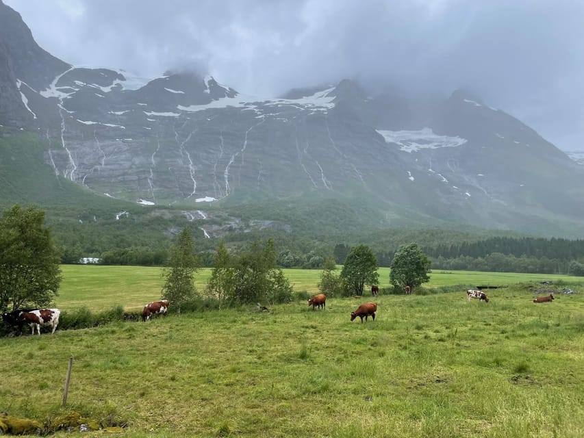 Hellesylt to Norangsdalen: Scenic E-Bike Tour - What the $167 price gets you