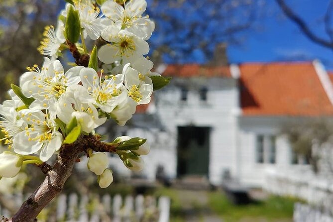 Highlights of the Region -City/Skudenes/Avaldsnes Guided Bustour - Key points at a glance