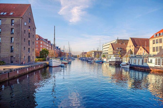 Hippies & Christianshavn Walking Tour - Group size, tone, and who will enjoy it