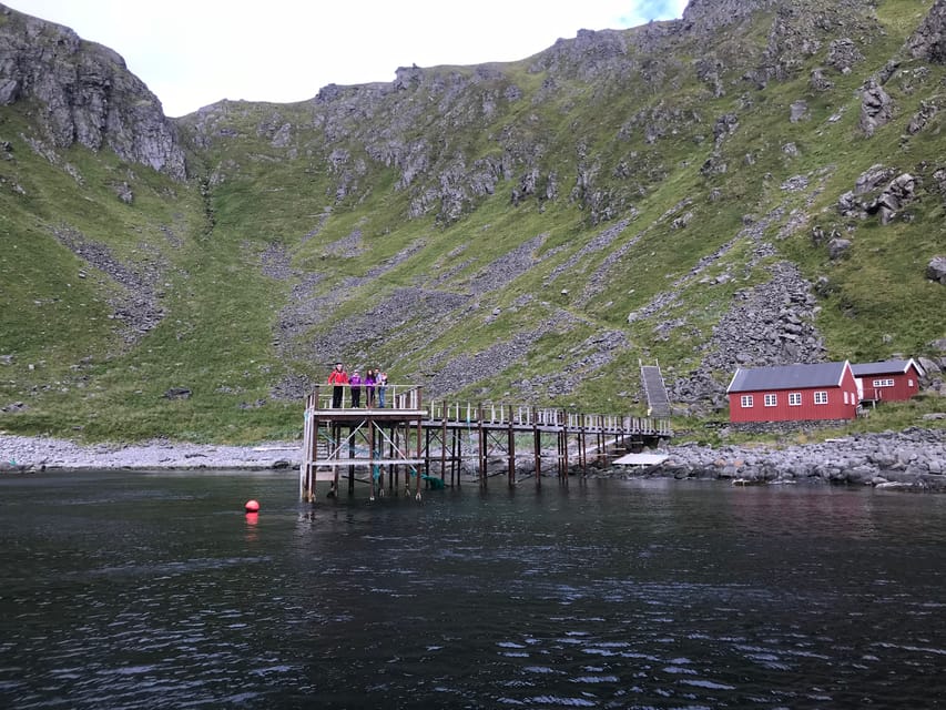 Honningsvåg: North Cape King Crab & Arctic Wildlife Safari - Should You Book the North Cape King Crab and Arctic Wildlife Safari?