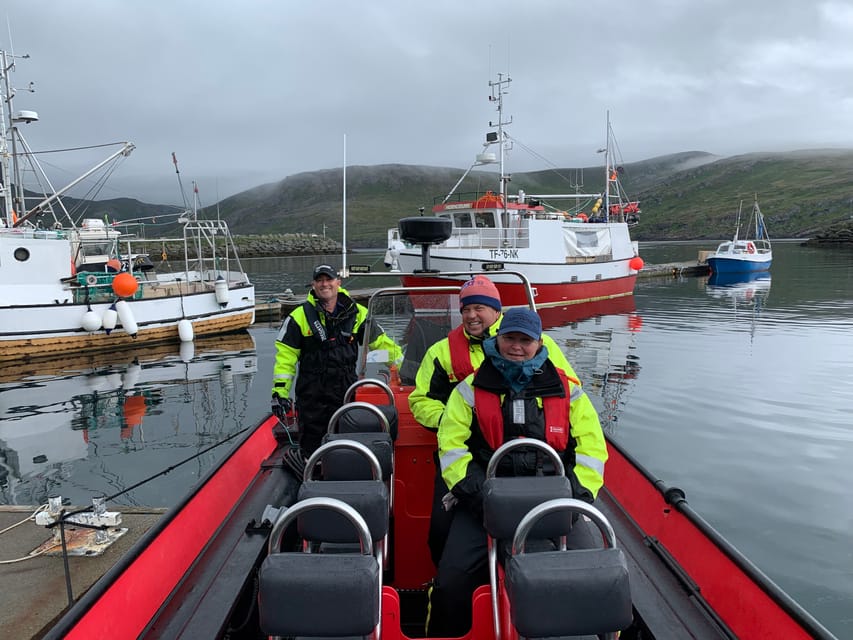 Honningsvåg: North Cape King Crab & Arctic Wildlife Safari - Wildlife Along the Coast: Keep Your Eyes Moving