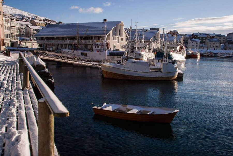 Honningsvåg: North Cape Winter Excursion with Entry Ticket - The guide and driver experience