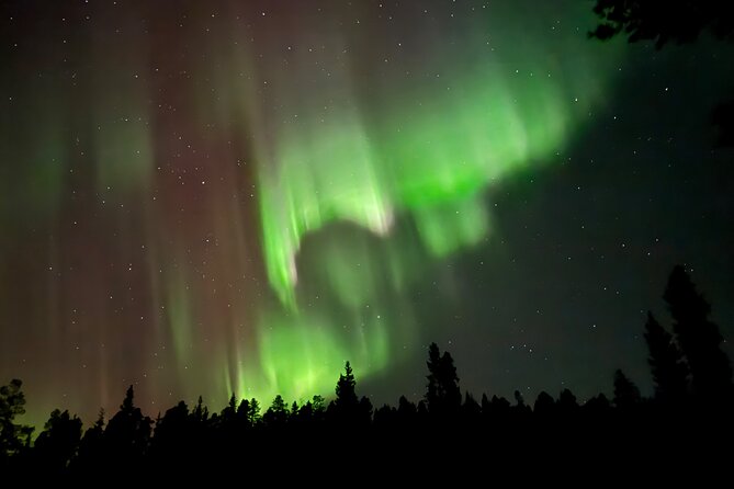 Husky Sled Ride Northern Lights Tour from Kiruna - What the $194.04 price includes