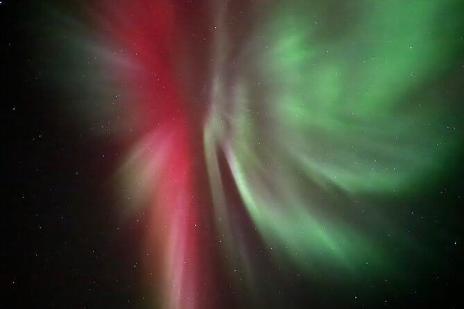 Husky Sled Ride Northern Lights Tour from Kiruna - The dogs provide the evening’s real spark