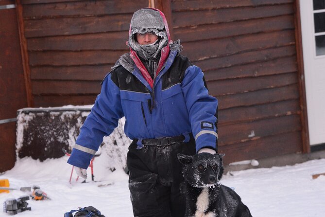 Husky Tour Sit and Drive Combo Tour from Kiruna - Driving your own sled in Swedish Lapland